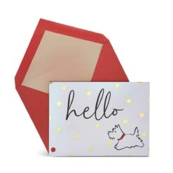 Radley EvergreenNotecard Set -Fashion Bag Store g6894109 4